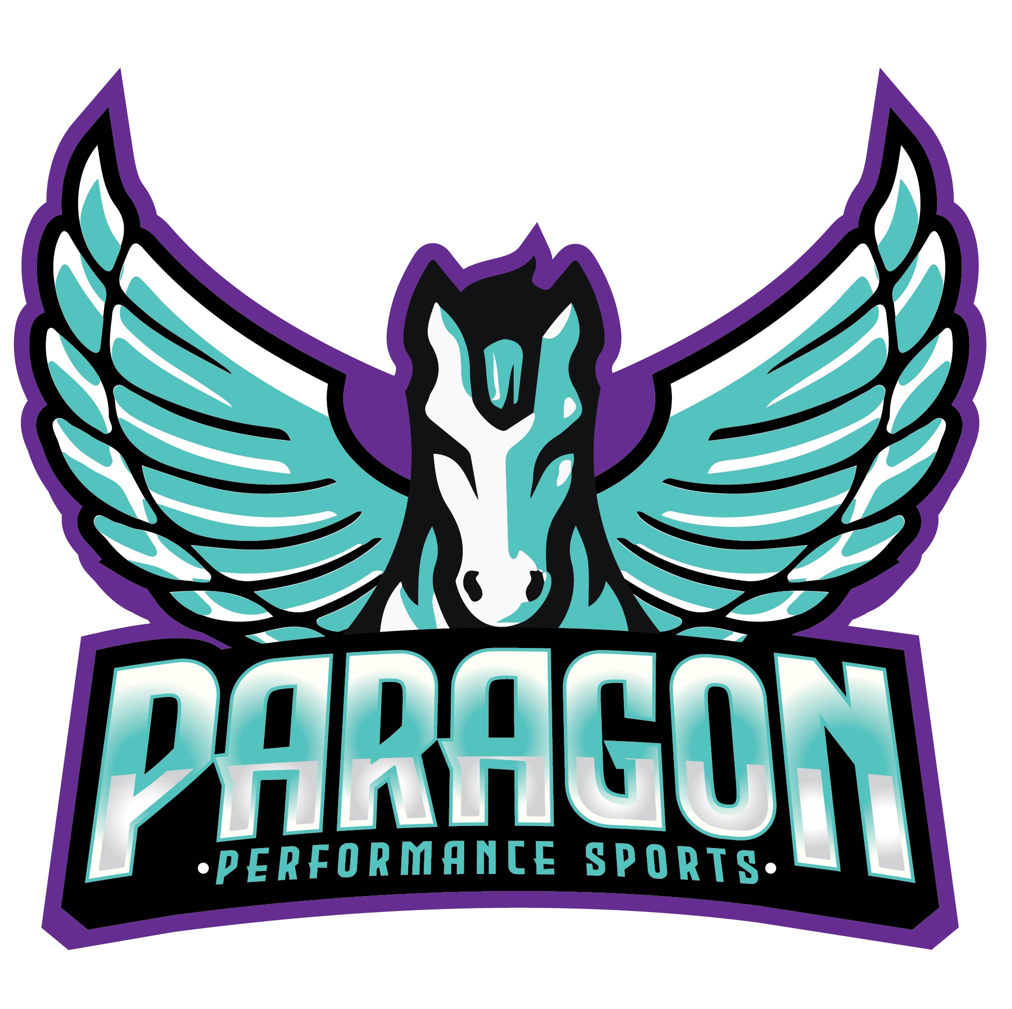 Paragon Performance