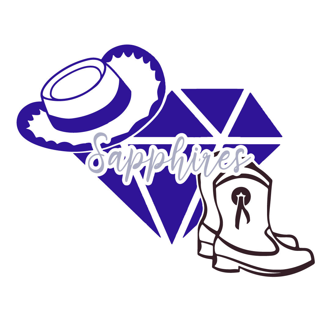 Summit Sapphires Drill Team