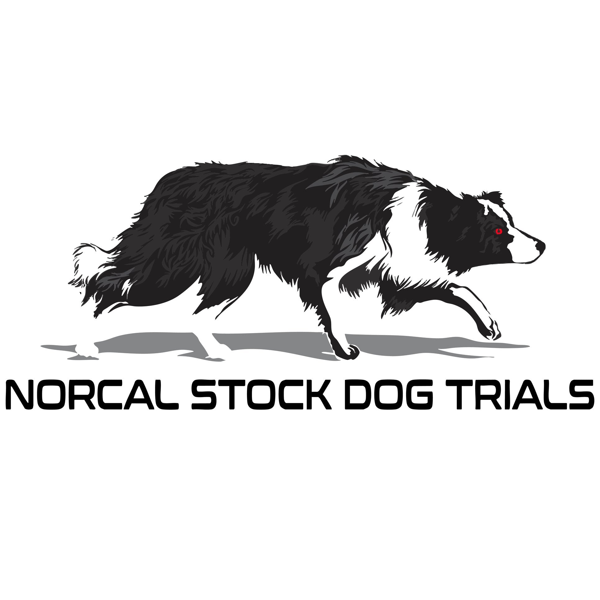 NorCal Stock Dogs