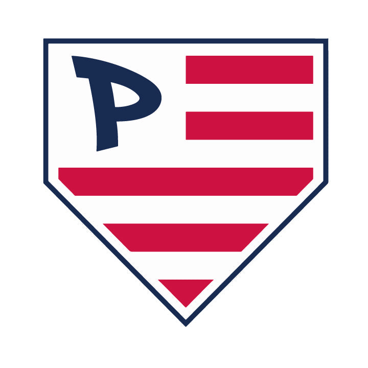 North Georgia Patriots