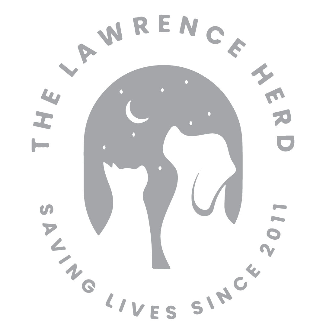 The Lawrence Herd