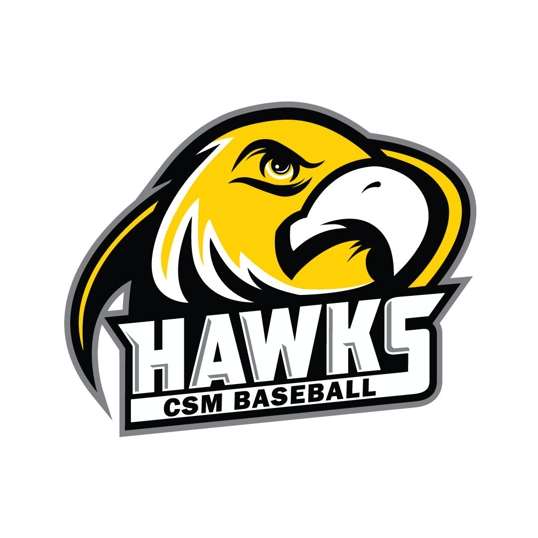 CSM Baseball