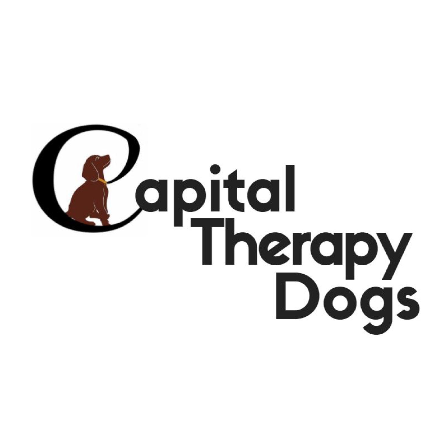 Capital Therapy Dogs