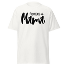 PCS (Providence) v3 Unisex classic tee