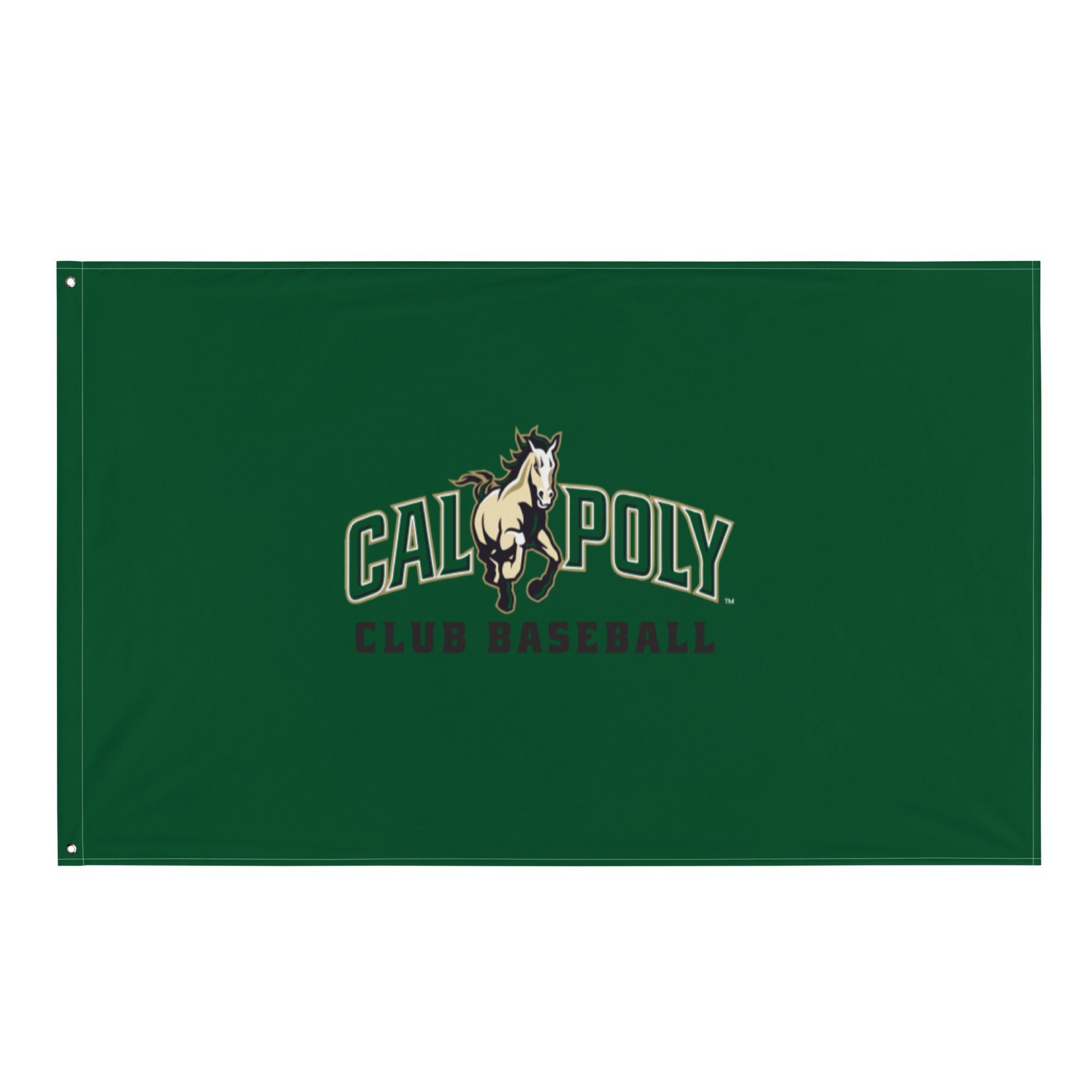 CPCB Flag