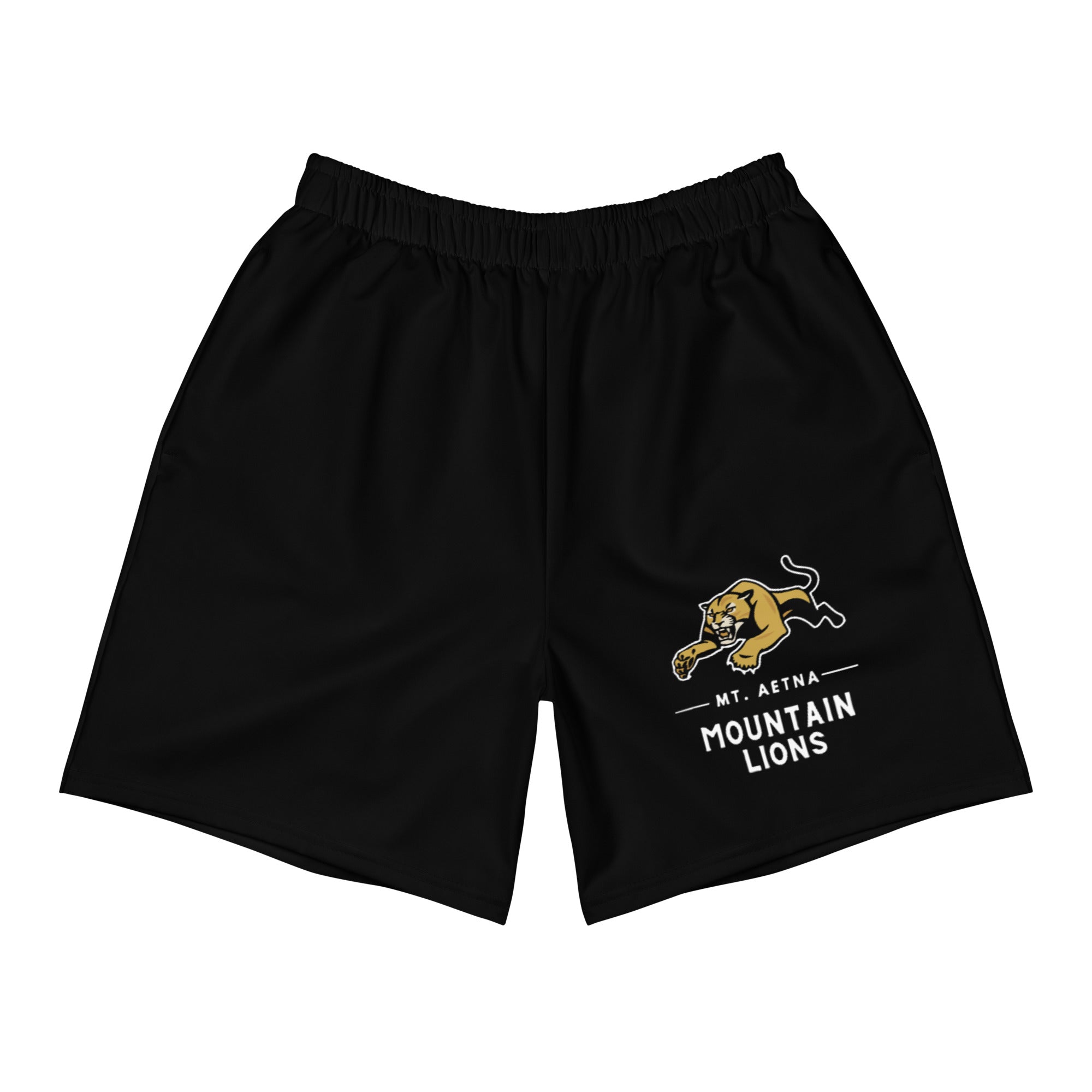 Mt. Aetna Men's Recycled Athletic Shorts