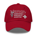 NIV Sombrero de papá