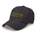 EV Dad hat