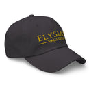 EV Dad hat