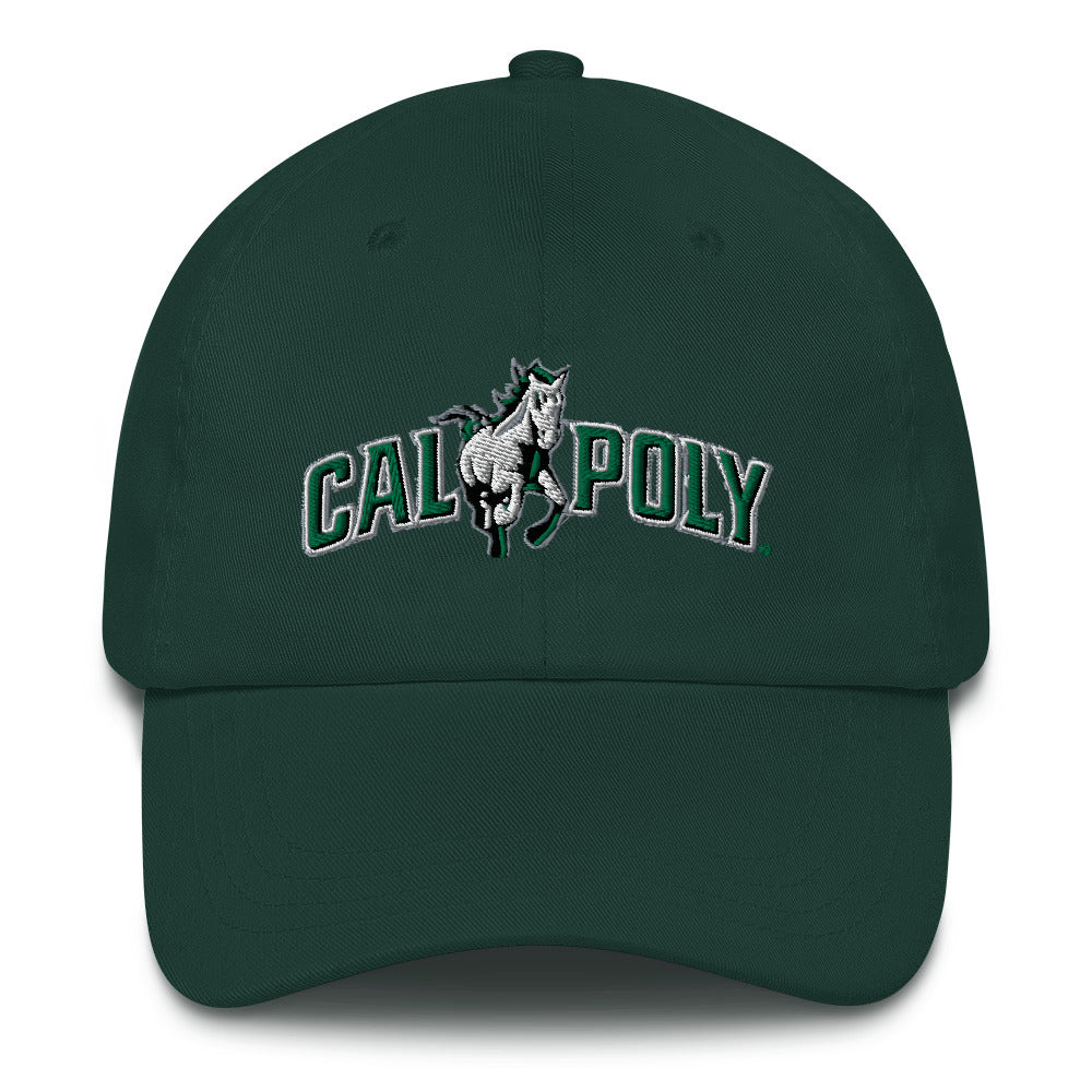 CPCB Dad hat