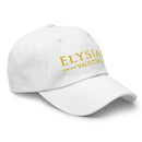 EV Dad hat