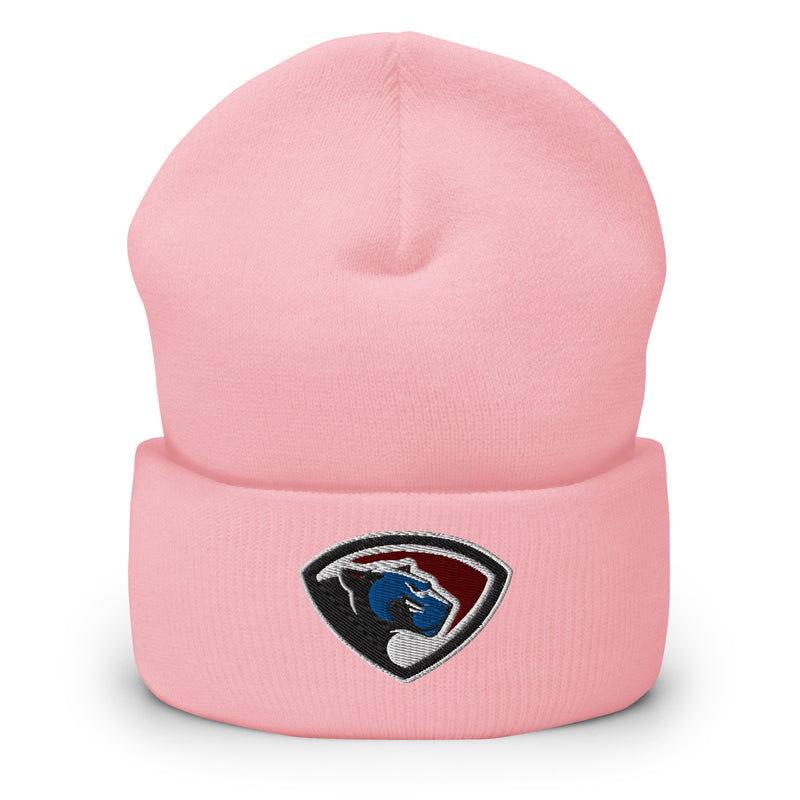 Limited Time only Until 10/31 BCA Cuffed Beanie