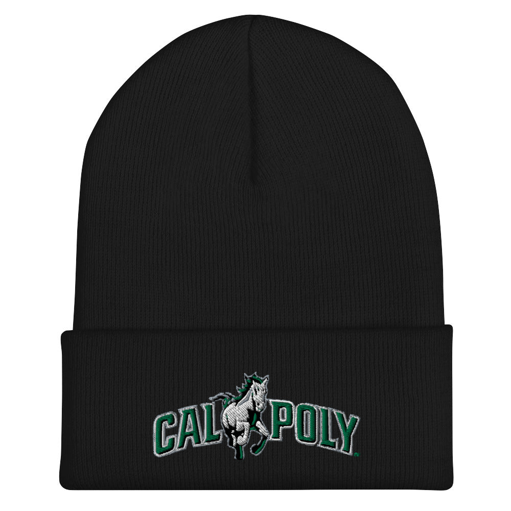 CPCB Cuffed Beanie