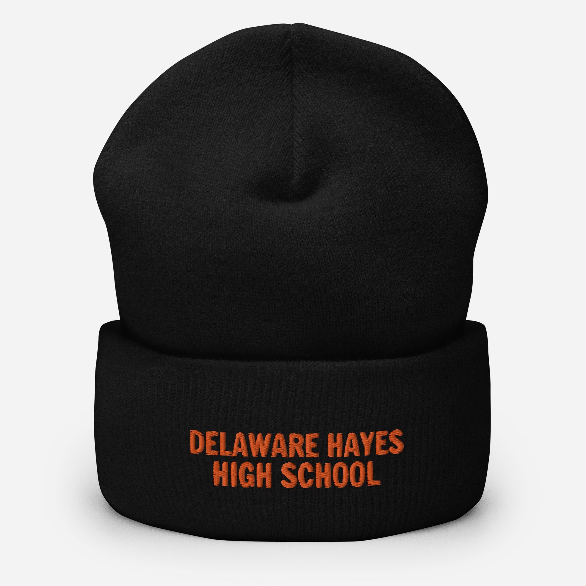 DHHS Cuffed Beanie