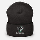 Palmer Baseball Cuffed Beanie
