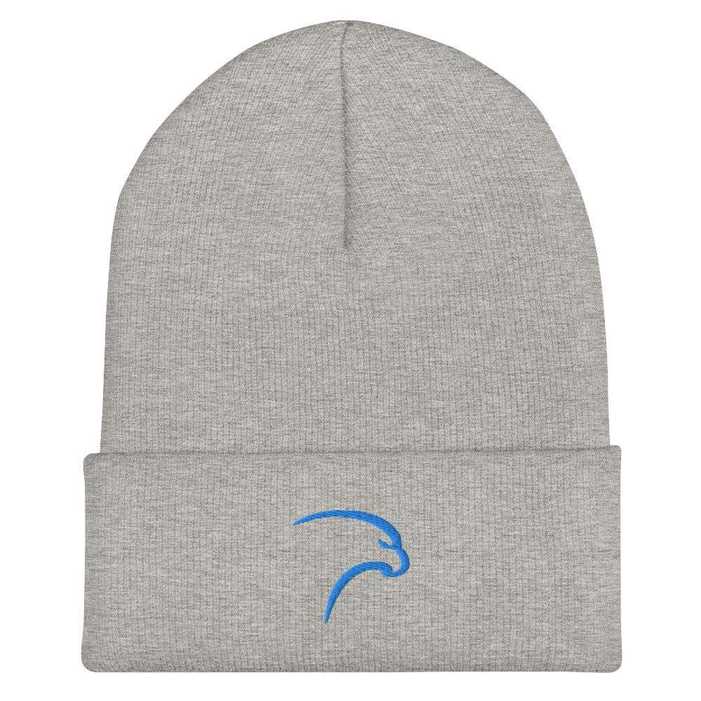 BST Cuffed Beanie