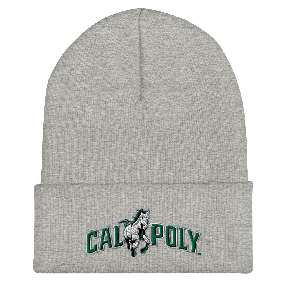 CPCB Cuffed Beanie