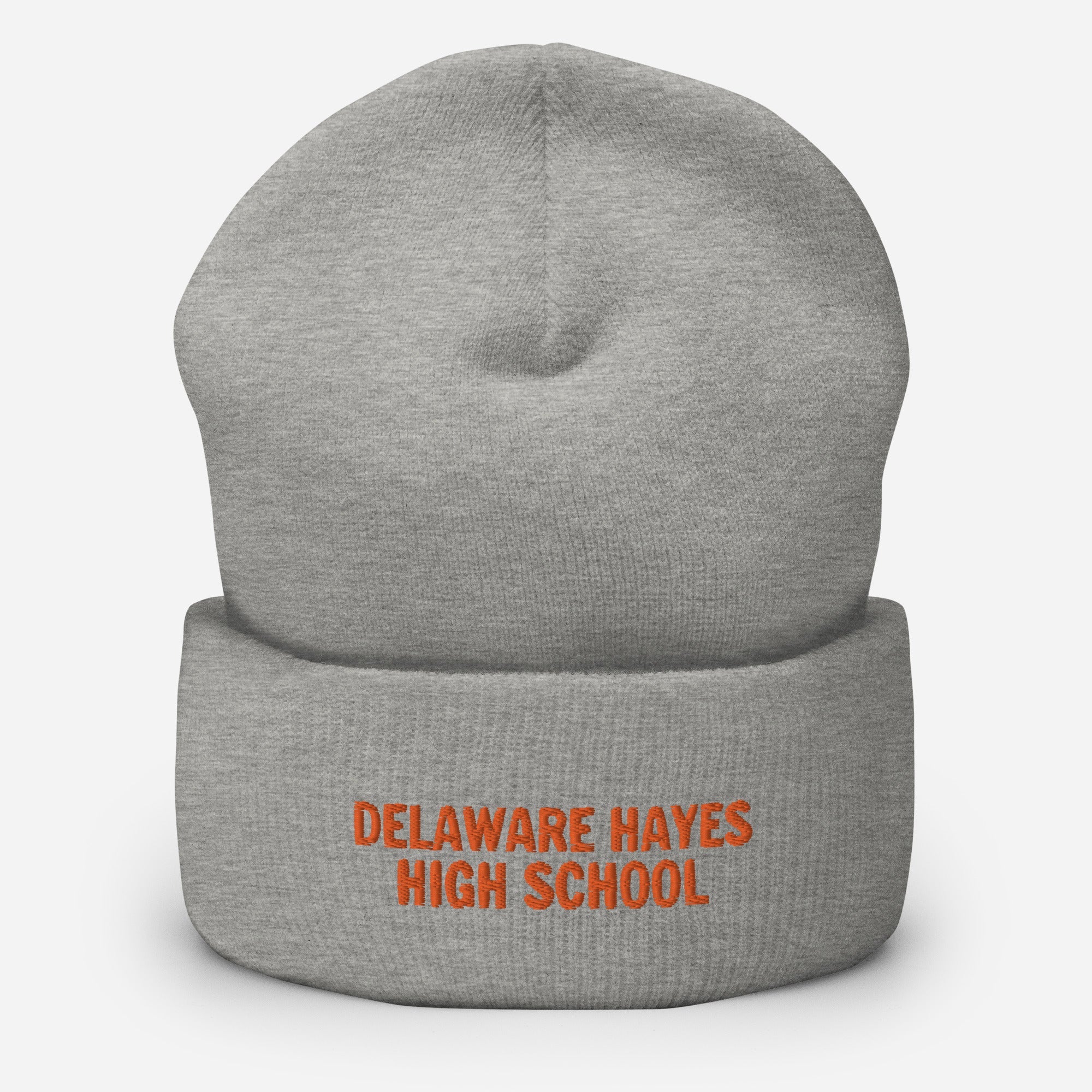 DHHS Cuffed Beanie