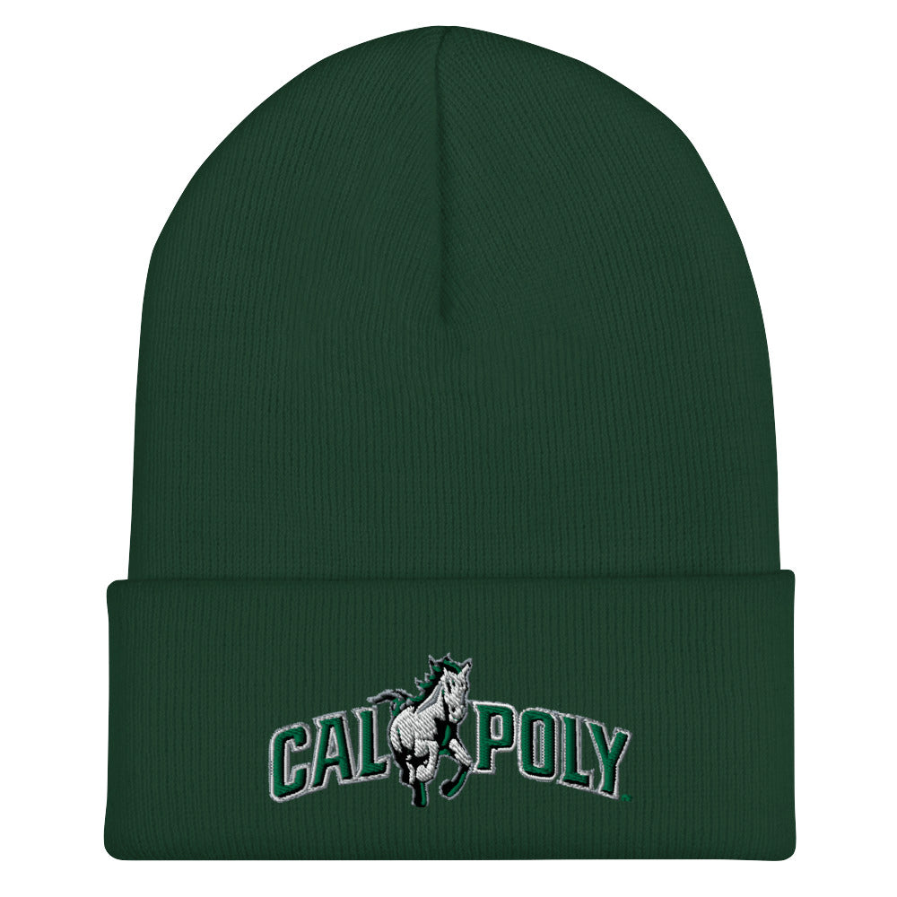 CPCB Cuffed Beanie