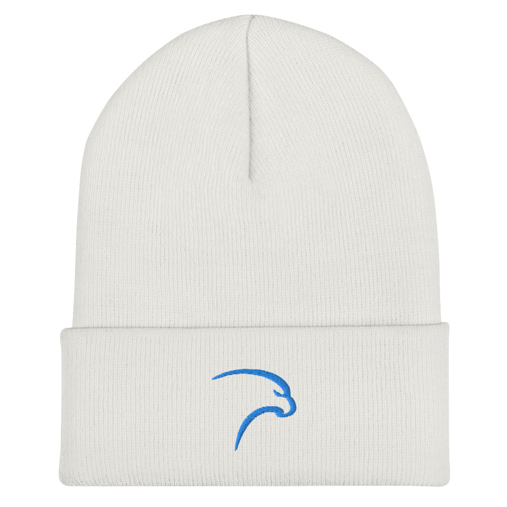 BST Cuffed Beanie