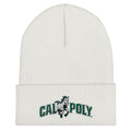 CPCB Cuffed Beanie