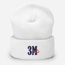 3M Cuffed Beanie