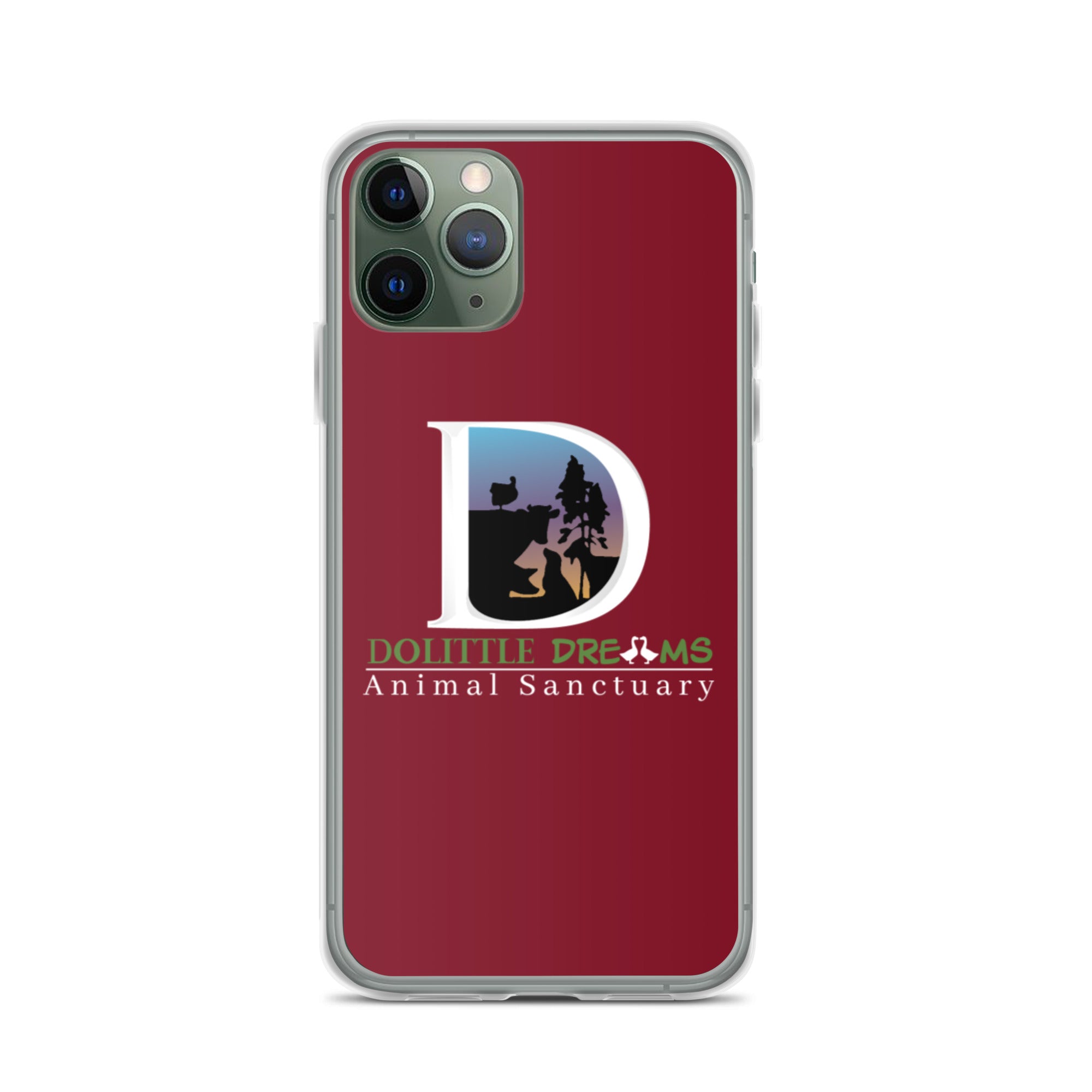 DD iPhone Case