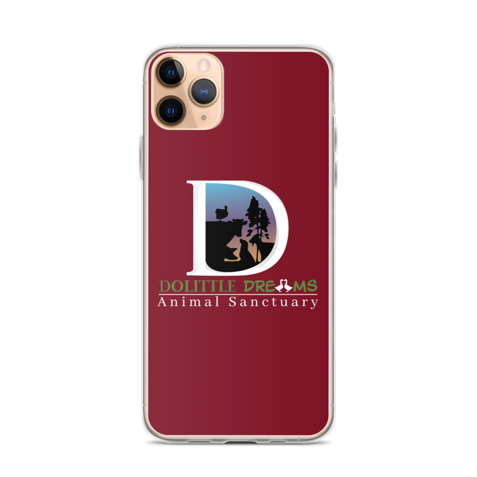 DD iPhone Case