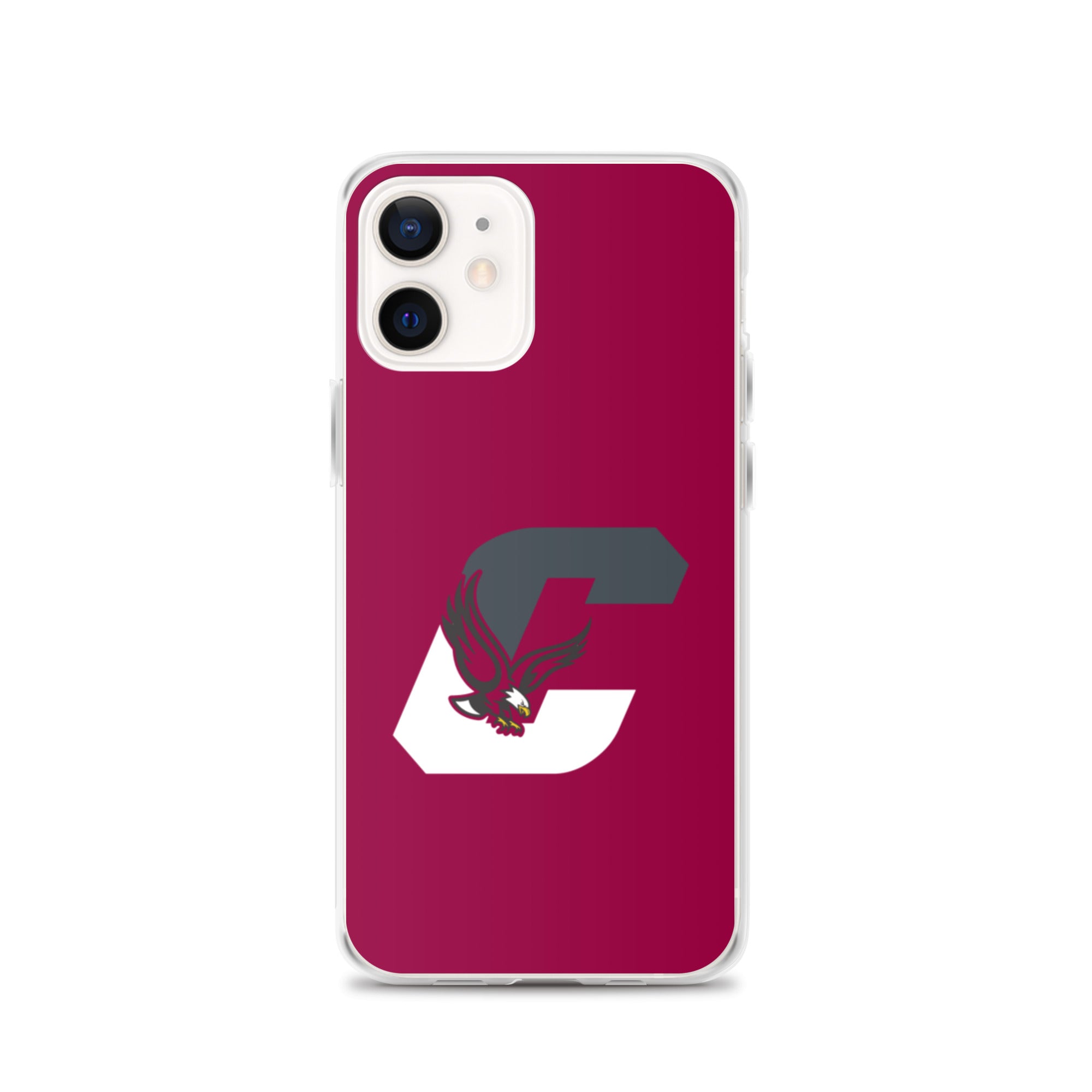 Boothwyn Elementary iPhone Case