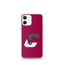 Boothwyn Elementary iPhone Case