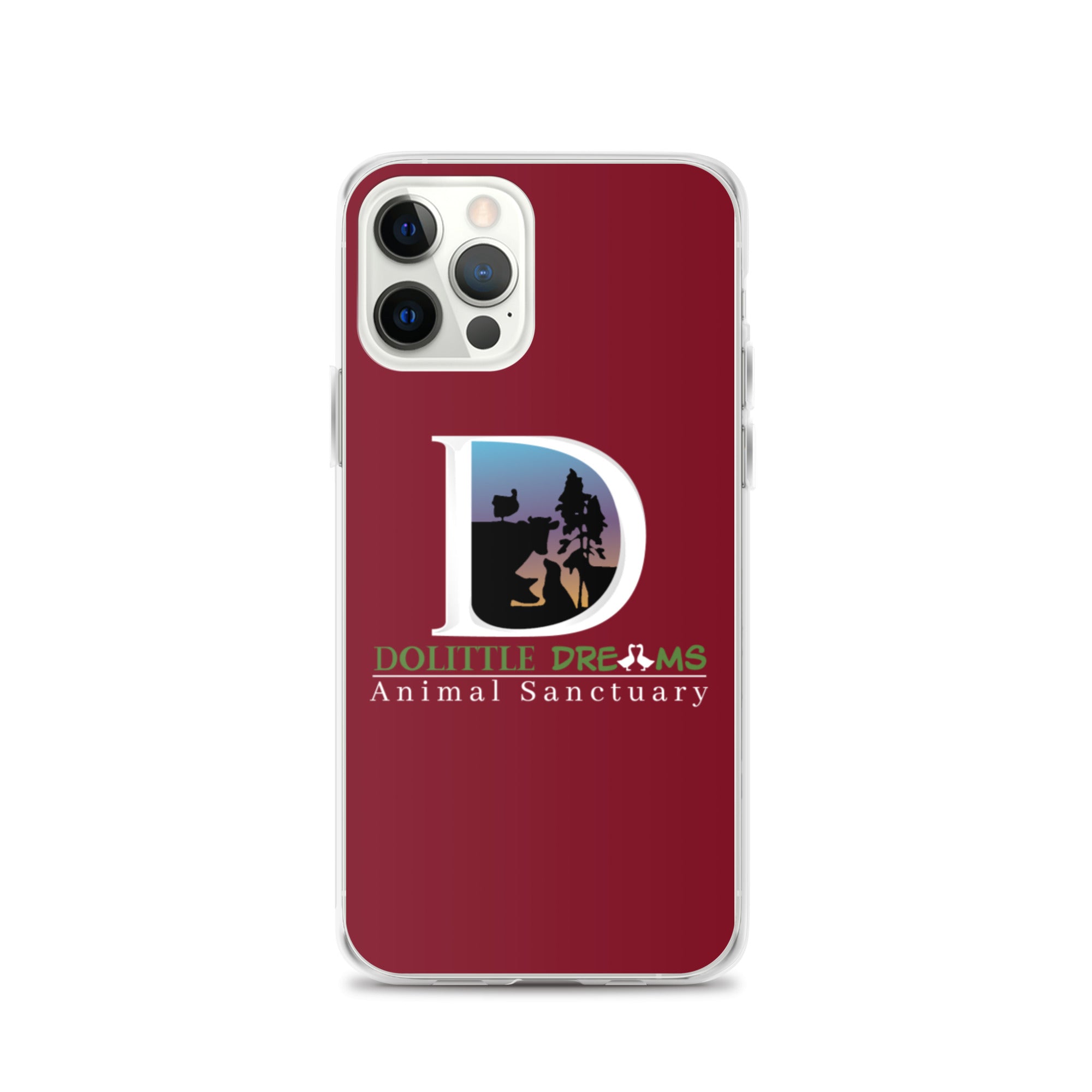 DD iPhone Case
