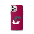 Boothwyn Elementary iPhone Case