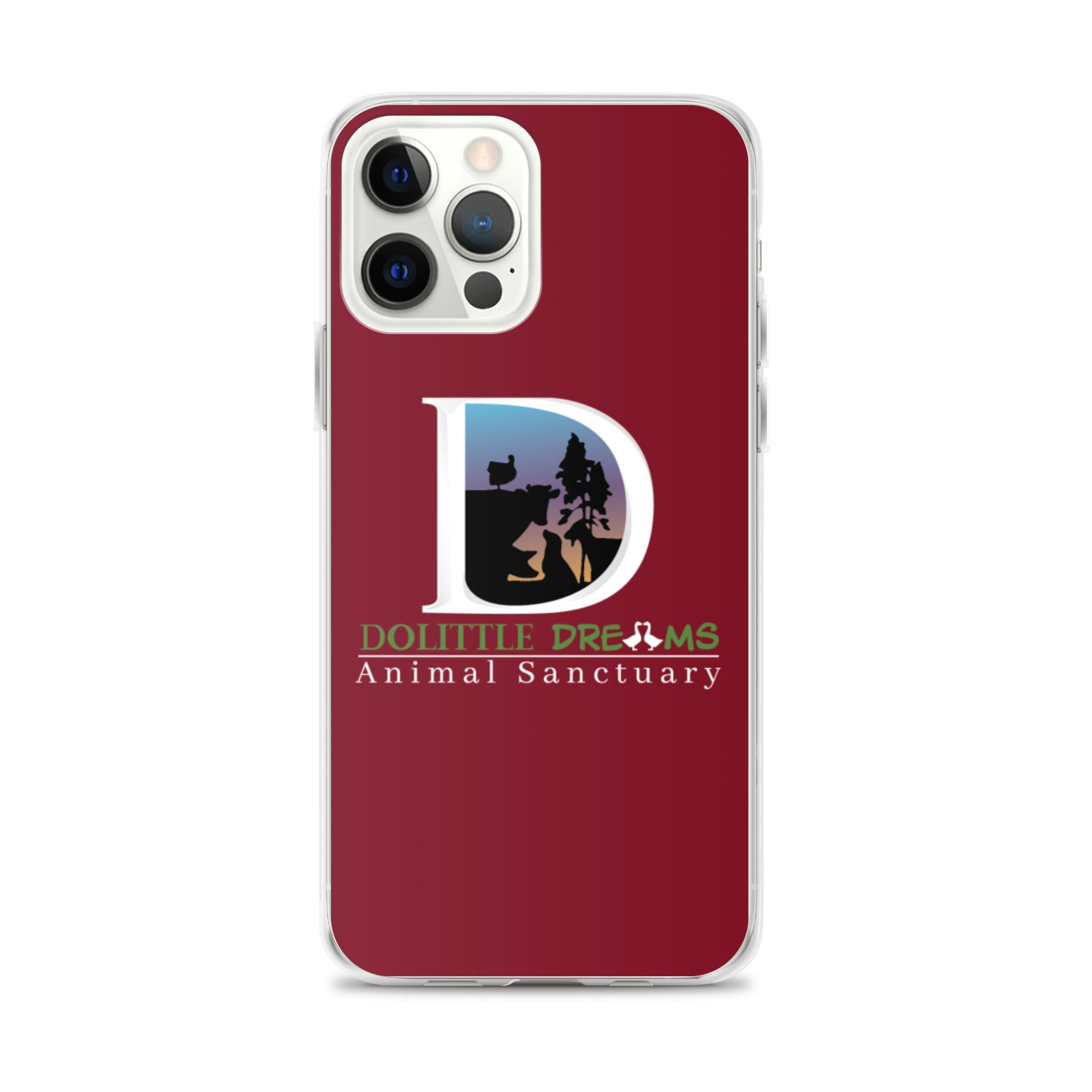 DD iPhone Case