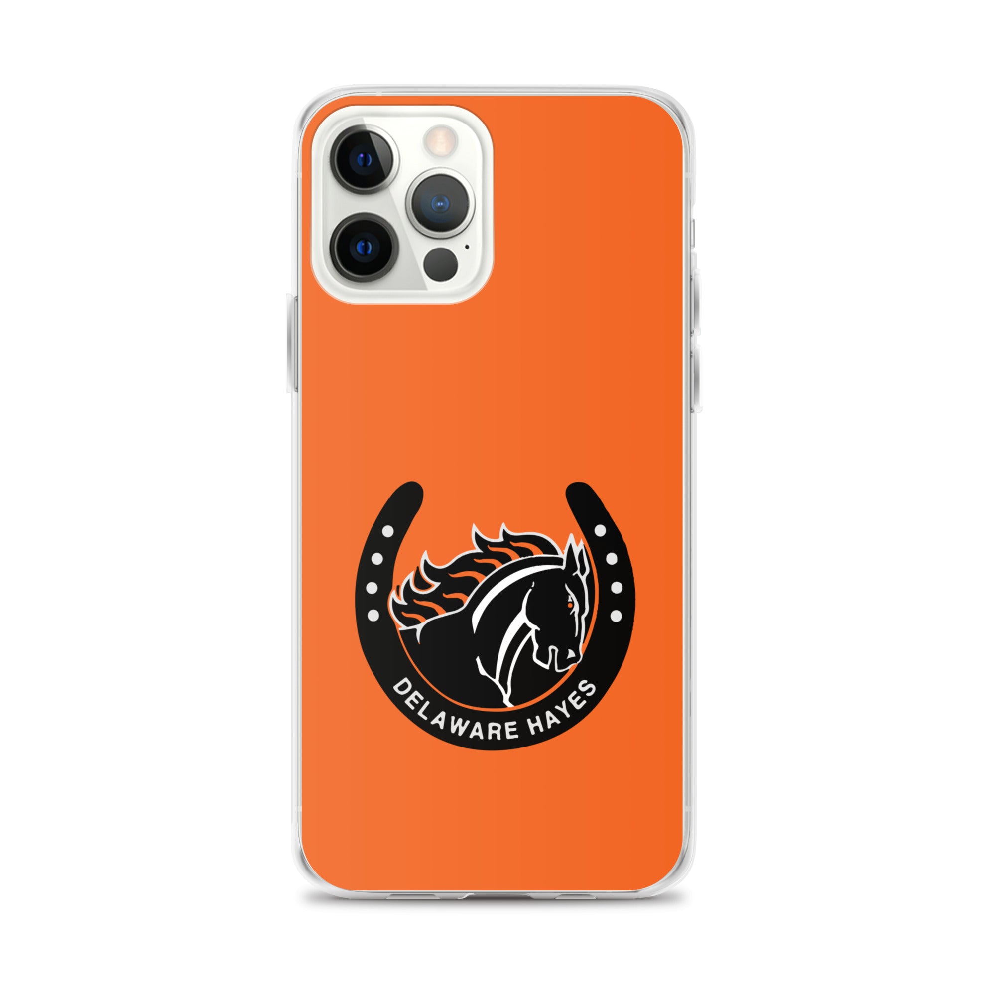 DHHS iPhone Case