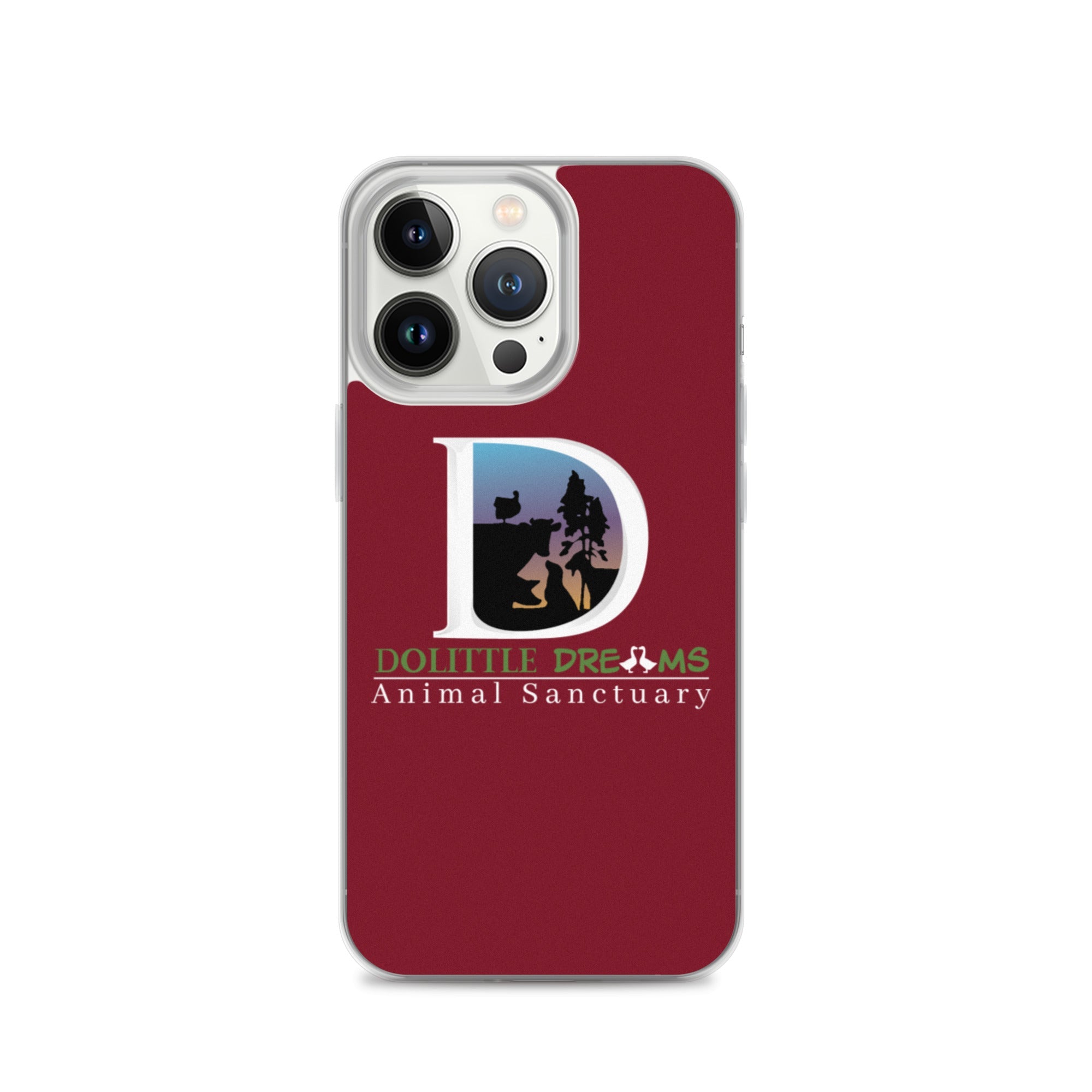 DD iPhone Case
