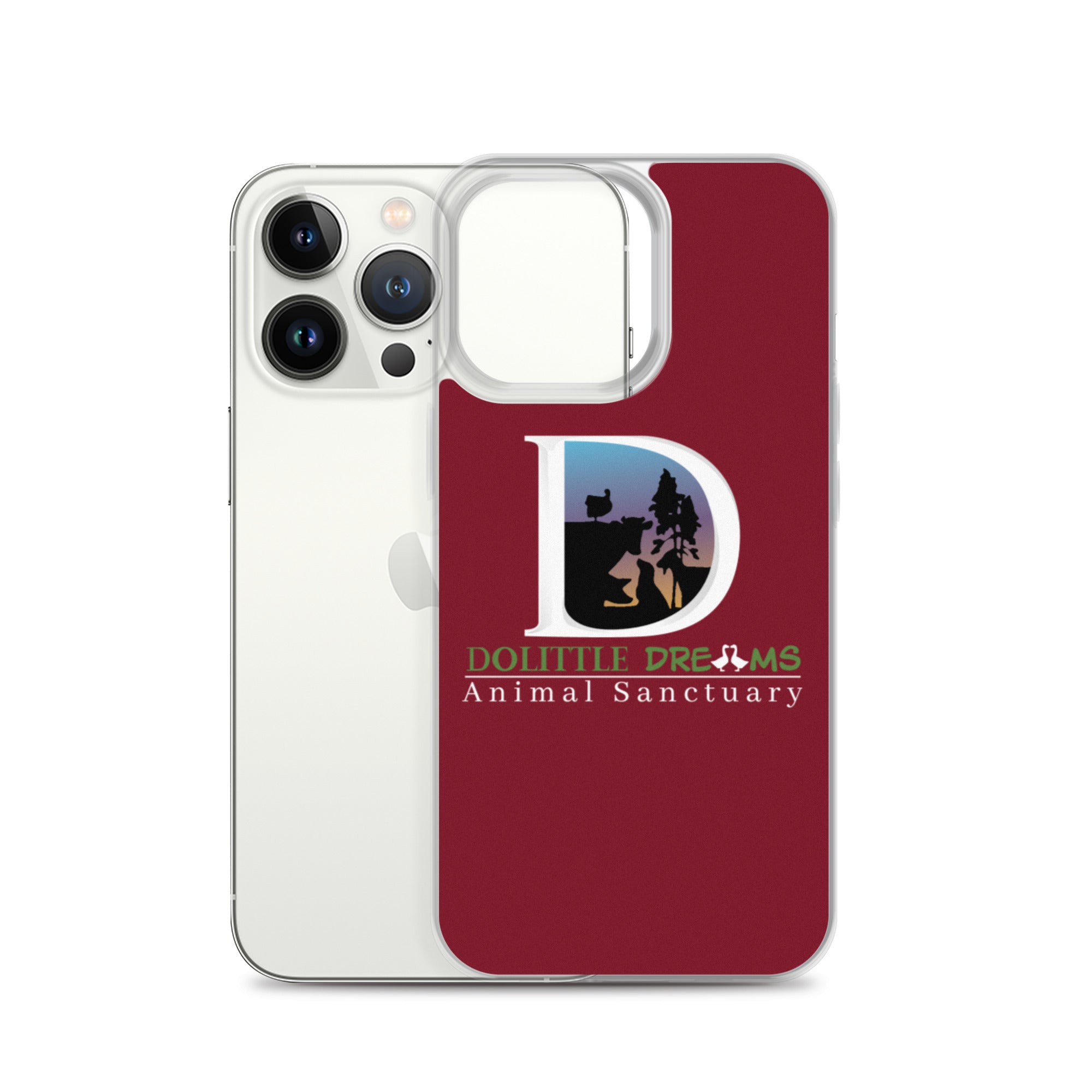 DD iPhone Case