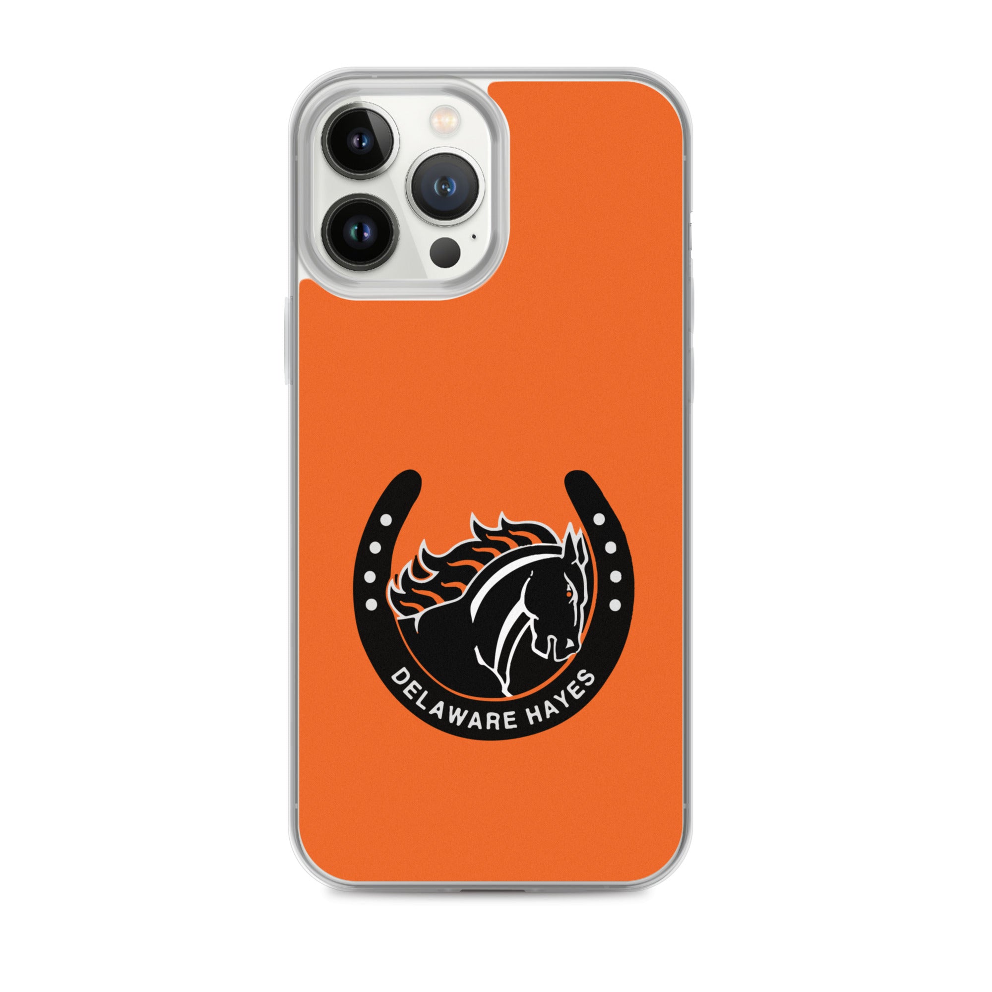 DHHS iPhone Case