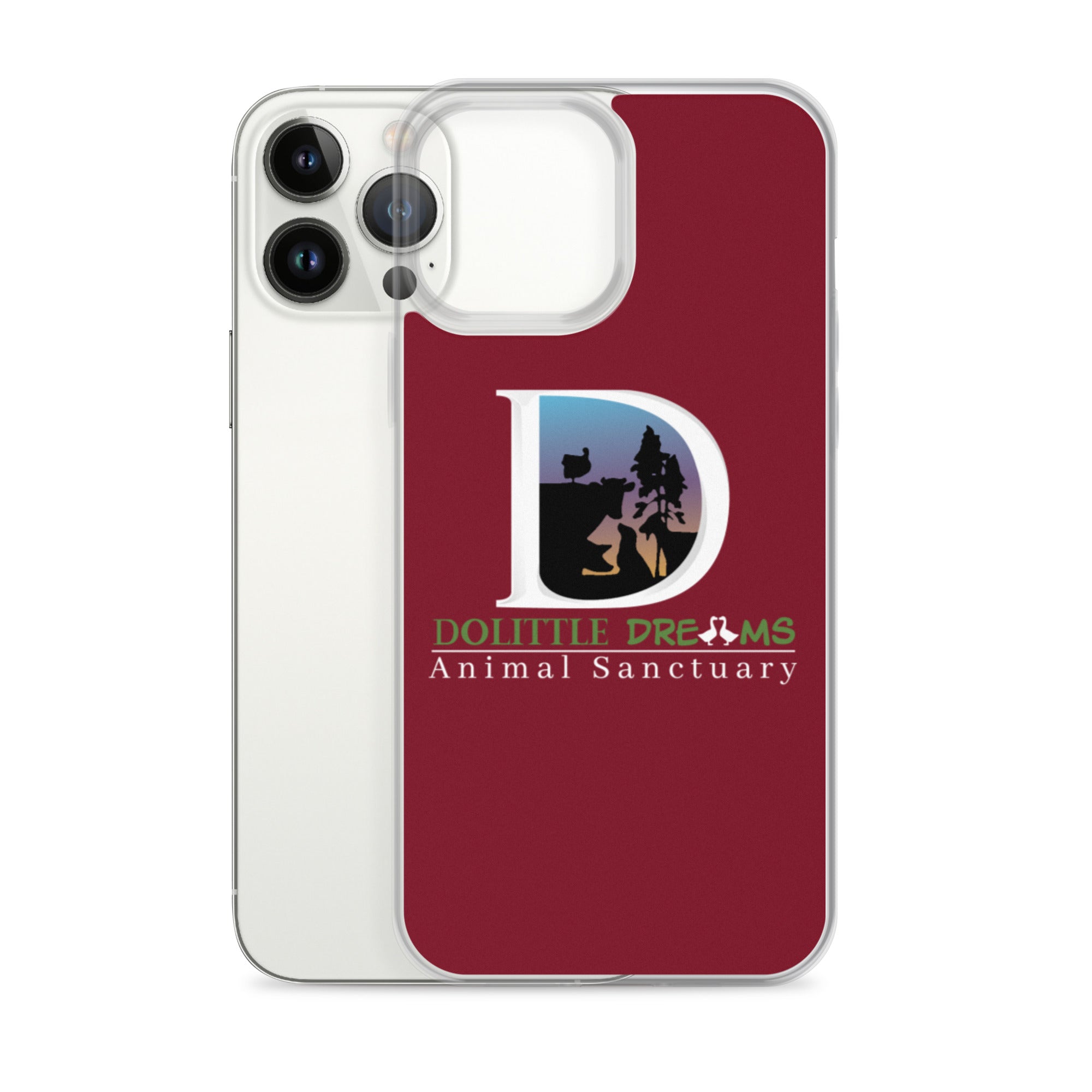 DD iPhone Case