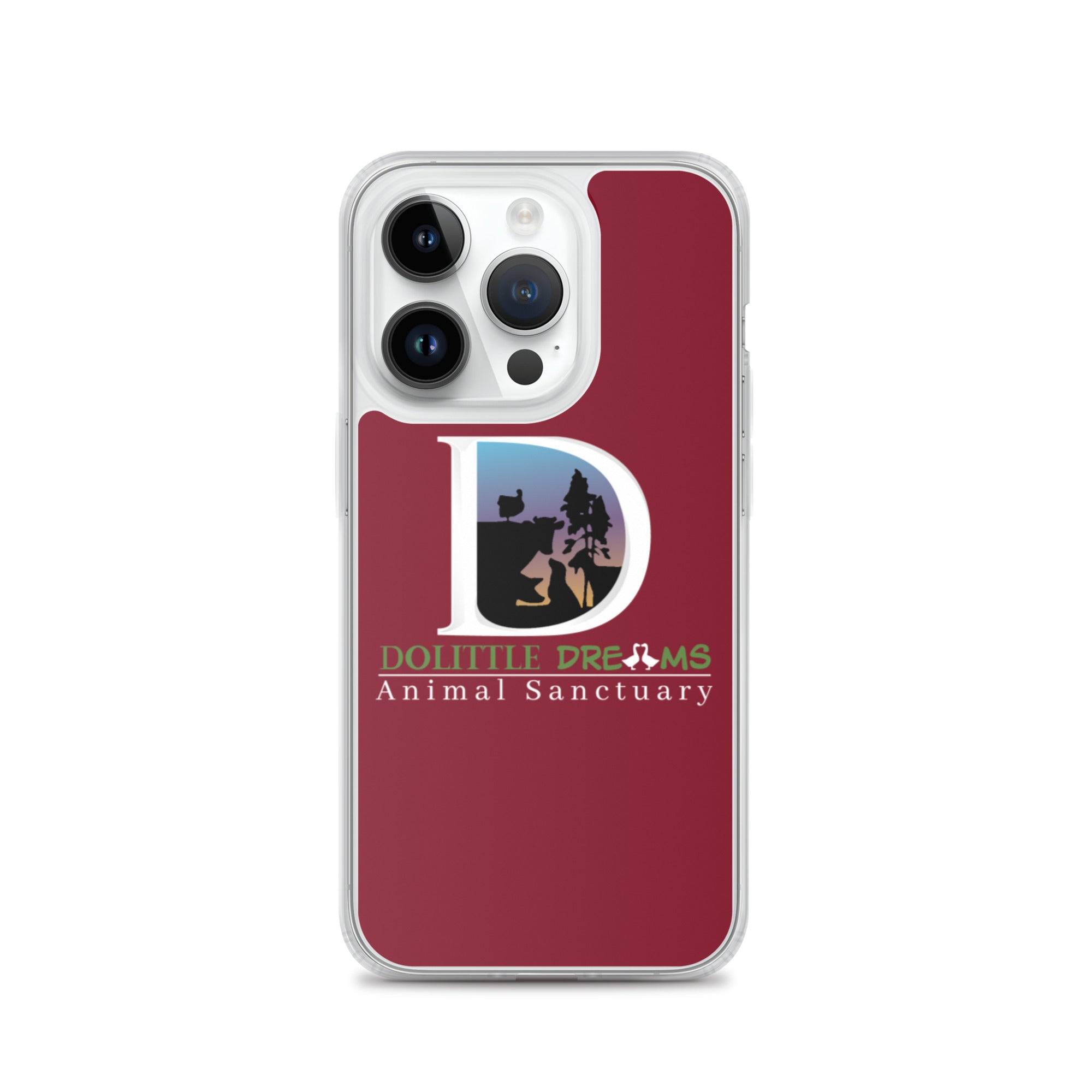 DD iPhone Case