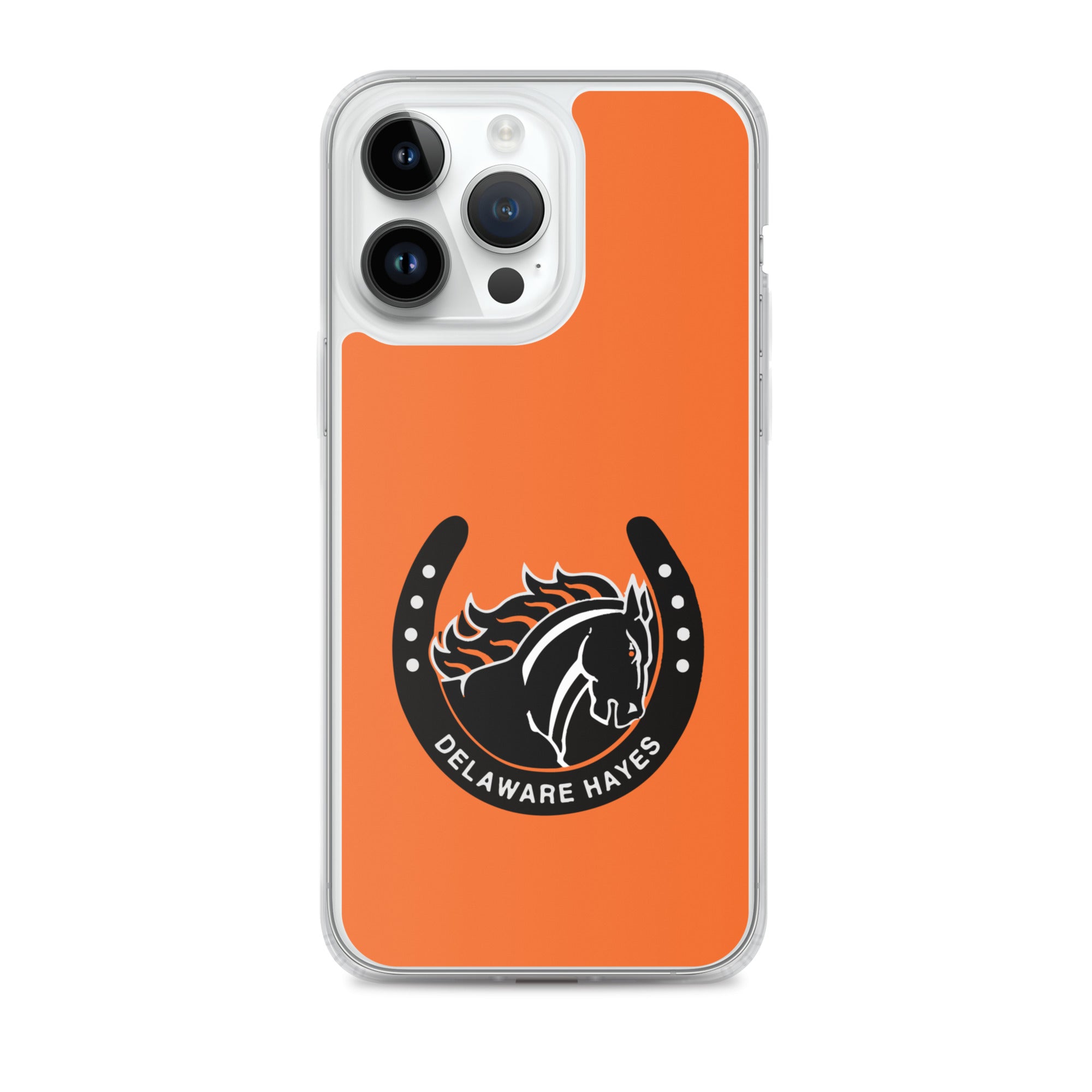 DHHS iPhone Case