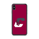 Boothwyn Elementary iPhone Case