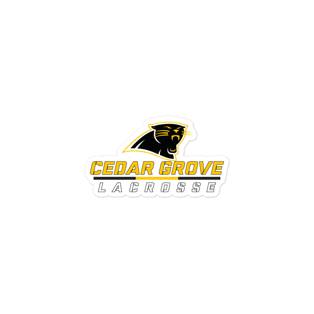 CGHS Bubble-free stickers