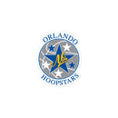 NSL-OH Bubble-free stickers