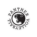 Panther Bubble-free stickers 2
