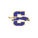 CA Bubble-free stickers