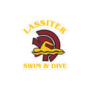 Pegatinas sin burbujas para natación de Lassiter