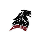 CB Bubble-free stickers