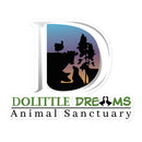 DD Bubble-free stickers