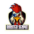 Pegatinas RS sin burbujas