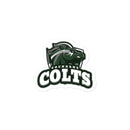 Pegatinas sin burbujas de Cochrane Coaches